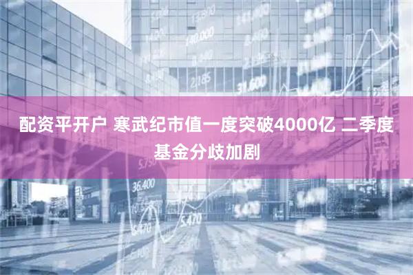 配资平开户 寒武纪市值一度突破4000亿 二季度基金分歧加剧