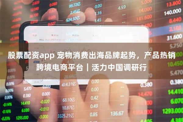 股票配资app 宠物消费出海品牌起势，产品热销跨境电商平台｜活力中国调研行