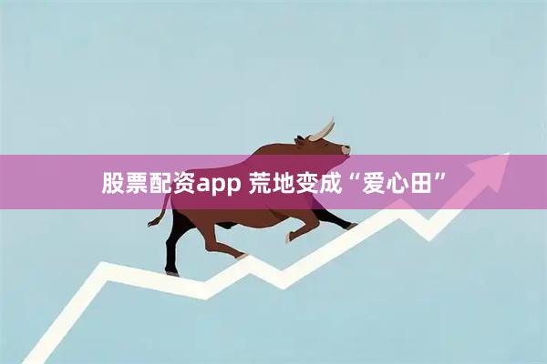 股票配资app 荒地变成“爱心田”