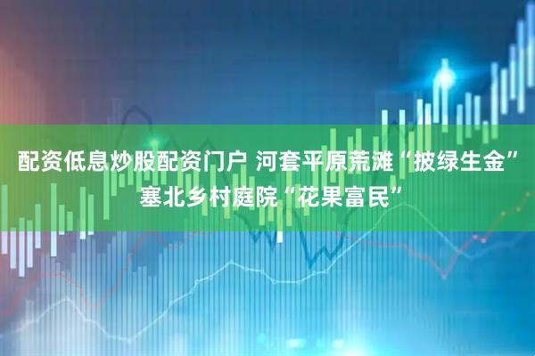 配资低息炒股配资门户 河套平原荒滩“披绿生金” 塞北乡村庭院“花果富民”